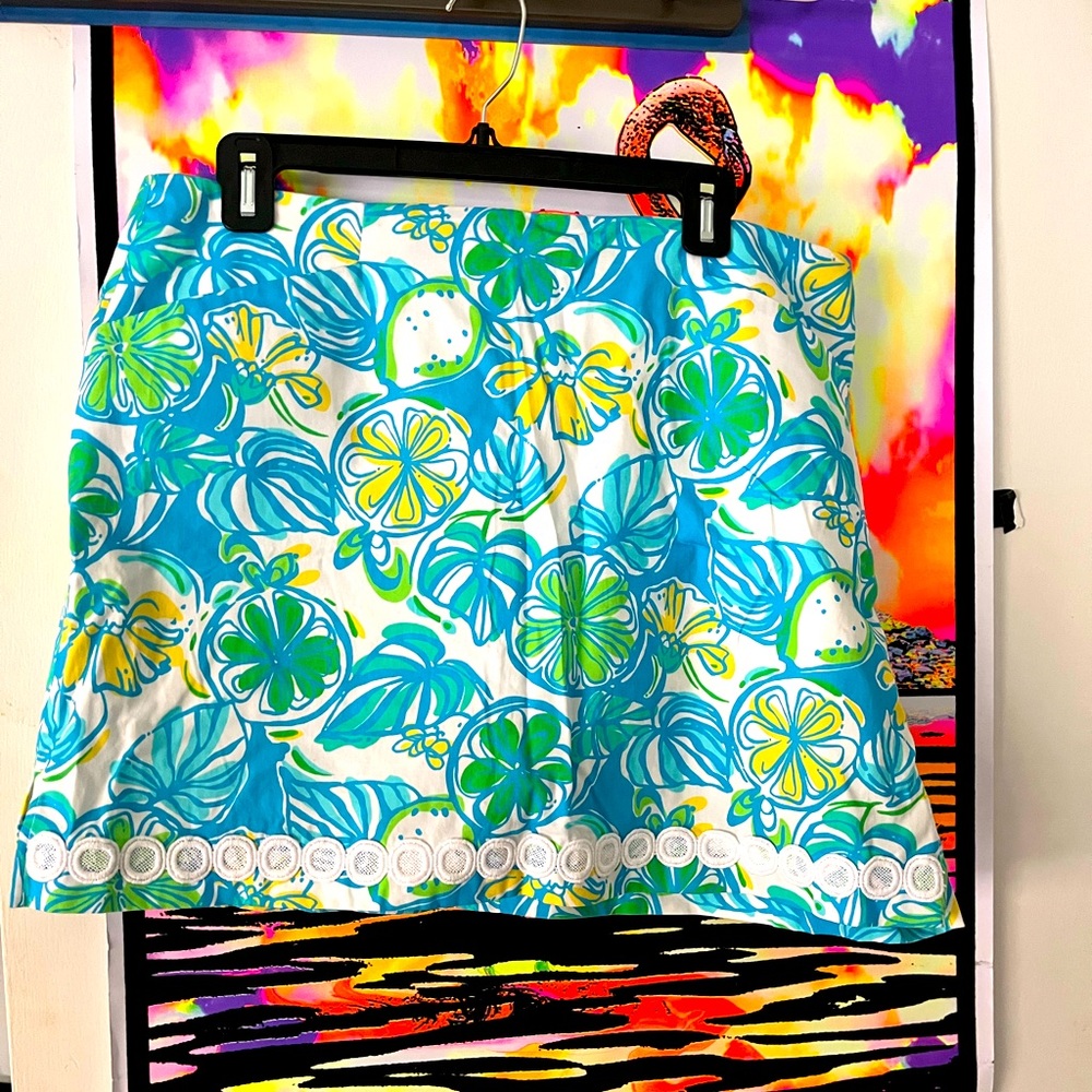lily skirt size 14